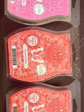 Scentsy Pink & Coral Wax Melt 3-Pack